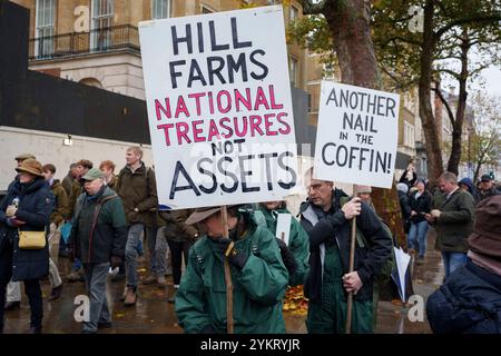 Tre settimane dopo il bilancio del nuovo governo laburista in cui è stata annunciata una tassa di successione del 20 per cento sulle proprietà agricole, protestando gli agricoltori britannici si riuniscono a Whitehall per esprimere le loro obiezioni e preoccupazioni, il 19 novembre 2024, a Londra, in Inghilterra. Il cambiamento di politica significa che, a partire da aprile 2026, le aziende agricole a conduzione familiare che valgono più di 1 milione di sterline e che spesso si basano sul passaggio di terre attraverso le generazioni, dovranno far fronte a bollette fiscali del 20% quando trasferiranno la proprietà, costringendo gli agricoltori a vendere terreni o aziende che sono state costruite nel corso di decenni. Foto Stock