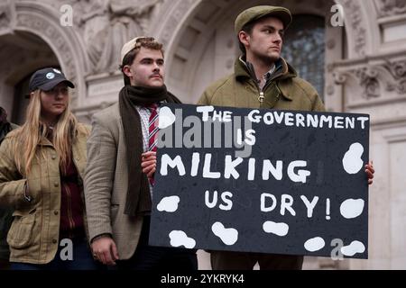 Tre settimane dopo il bilancio del nuovo governo laburista in cui è stata annunciata una tassa di successione del 20 per cento sulle proprietà agricole, protestando gli agricoltori britannici si riuniscono a Whitehall per esprimere le loro obiezioni e preoccupazioni, il 19 novembre 2024, a Londra, in Inghilterra. Il cambiamento di politica significa che, a partire da aprile 2026, le aziende agricole a conduzione familiare che valgono più di 1 milione di sterline e che spesso si basano sul passaggio di terre attraverso le generazioni, dovranno far fronte a bollette fiscali del 20% quando trasferiranno la proprietà, costringendo gli agricoltori a vendere terreni o aziende che sono state costruite nel corso di decenni. Foto Stock