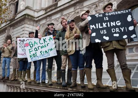 Tre settimane dopo il bilancio del nuovo governo laburista in cui è stata annunciata una tassa di successione del 20 per cento sulle proprietà agricole, protestando gli agricoltori britannici si riuniscono a Whitehall per esprimere le loro obiezioni e preoccupazioni, il 19 novembre 2024, a Londra, in Inghilterra. Il cambiamento di politica significa che, a partire da aprile 2026, le aziende agricole a conduzione familiare che valgono più di 1 milione di sterline e che spesso si basano sul passaggio di terre attraverso le generazioni, dovranno far fronte a bollette fiscali del 20% quando trasferiranno la proprietà, costringendo gli agricoltori a vendere terreni o aziende che sono state costruite nel corso di decenni. Foto Stock