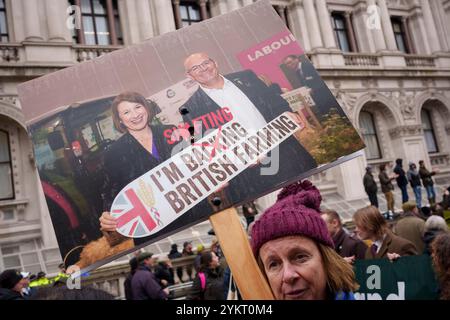 Tre settimane dopo il bilancio del nuovo governo laburista in cui è stata annunciata una tassa di successione del 20 per cento sulle proprietà agricole, protestando gli agricoltori britannici si riuniscono a Whitehall per esprimere le loro obiezioni e preoccupazioni, il 19 novembre 2024, a Londra, in Inghilterra. Il cambiamento di politica significa che, a partire da aprile 2026, le aziende agricole a conduzione familiare che valgono più di 1 milione di sterline e che spesso si basano sul passaggio di terre attraverso le generazioni, dovranno far fronte a bollette fiscali del 20% quando trasferiranno la proprietà, costringendo gli agricoltori a vendere terreni o aziende che sono state costruite nel corso di decenni. Foto Stock