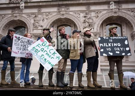 Tre settimane dopo il bilancio del nuovo governo laburista in cui è stata annunciata una tassa di successione del 20 per cento sulle proprietà agricole, protestando gli agricoltori britannici si riuniscono a Whitehall per esprimere le loro obiezioni e preoccupazioni, il 19 novembre 2024, a Londra, in Inghilterra. Il cambiamento di politica significa che, a partire da aprile 2026, le aziende agricole a conduzione familiare che valgono più di 1 milione di sterline e che spesso si basano sul passaggio di terre attraverso le generazioni, dovranno far fronte a bollette fiscali del 20% quando trasferiranno la proprietà, costringendo gli agricoltori a vendere terreni o aziende che sono state costruite nel corso di decenni. Foto Stock