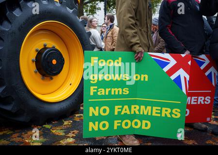 Tre settimane dopo il bilancio del nuovo governo laburista in cui è stata annunciata una tassa di successione del 20 per cento sulle proprietà agricole, protestando gli agricoltori britannici si riuniscono a Whitehall per esprimere le loro obiezioni e preoccupazioni, il 19 novembre 2024, a Londra, in Inghilterra. Il cambiamento di politica significa che, a partire da aprile 2026, le aziende agricole a conduzione familiare che valgono più di 1 milione di sterline e che spesso si basano sul passaggio di terre attraverso le generazioni, dovranno far fronte a bollette fiscali del 20% quando trasferiranno la proprietà, costringendo gli agricoltori a vendere terreni o aziende che sono state costruite nel corso di decenni. Foto Stock