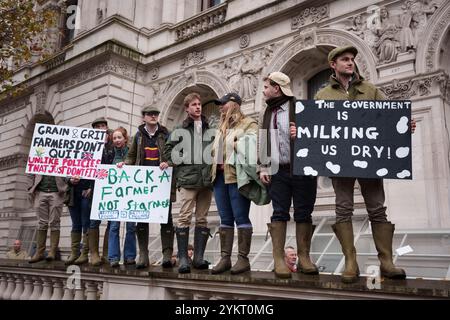 Tre settimane dopo il bilancio del nuovo governo laburista in cui è stata annunciata una tassa di successione del 20 per cento sulle proprietà agricole, protestando gli agricoltori britannici si riuniscono a Whitehall per esprimere le loro obiezioni e preoccupazioni, il 19 novembre 2024, a Londra, in Inghilterra. Il cambiamento di politica significa che, a partire da aprile 2026, le aziende agricole a conduzione familiare che valgono più di 1 milione di sterline e che spesso si basano sul passaggio di terre attraverso le generazioni, dovranno far fronte a bollette fiscali del 20% quando trasferiranno la proprietà, costringendo gli agricoltori a vendere terreni o aziende che sono state costruite nel corso di decenni. Foto Stock