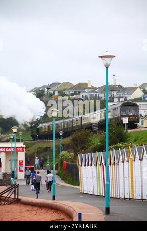 Treno a vapore che viaggia lungo il lungomare a Paignton Devon, Inghilterra, regno unito Foto Stock