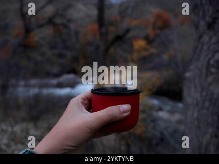 Atmosfera di novembre nella natura, una donna tiene in mano una tazza thermos rossa sullo sfondo di un paesaggio tranquillo con una foresta autunnale buia Foto Stock