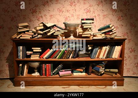Una libreria ingombrante Foto Stock