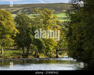 Ponte sul fiume Wharfe (splendida posizione, colori autunnali, colline ondulate, percorso a piedi per i visitatori) - Bolton Abbey Estate, Yorkshire Dales, Regno Unito. Foto Stock