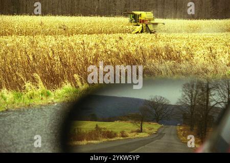 New York, USA, circa 1992. Una mietitrebbia per mais sul campo alla fine di novembre. Foto Stock