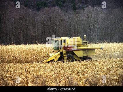 New York, USA, circa 1992. Una mietitrebbia per mais sul campo alla fine di novembre. Foto Stock