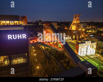 Installazione d'arte temporanea Global Gate presso il sito patrimonio dell'umanità dell'UNESCO Zeche Zollverein, interpretazione del Brandenburg Tor Tor realizzata in 37 freigh Foto Stock