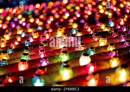 Kiev, Kiev, Ucraina. 19 novembre 2024. ACCENDETE L'evento DEL FUOCO, dedicato ai 1.000 giorni della lotta del popolo ucraino per la libertà e l'indipendenza. 1000 candele sono simbolicamente illuminate di fronte al Motherland Monument per commemorare il mille giorno della lotta. (Credit Image: © Andreas Stroh/ZUMA Press Wire) SOLO PER USO EDITORIALE! Non per USO commerciale! Foto Stock