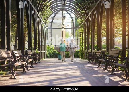 La coppia di anziani cammina lungo il vicolo. Uomo e donna che si tengono per mano. Ci siamo incontrati molto tempo fa. Posto romantico nel parco Foto Stock