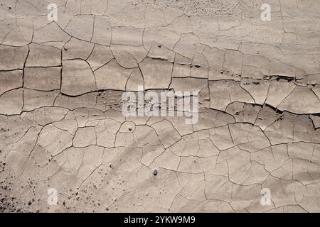 Dettaglio della terra secca per uso in background Foto Stock