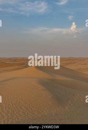 Un'immagine del paesaggio desertico fuori Abu Dhabi Foto Stock