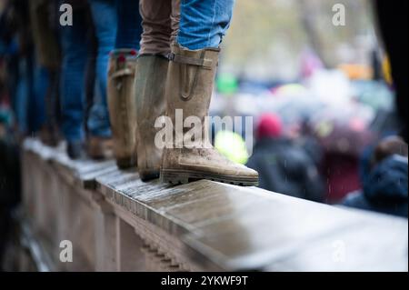 Londra, Regno Unito. 19 novembre 2024. Gli agricoltori si vedono in piedi su un muro a fare la dimostrazione. Gli agricoltori britannici si radunano a Londra per dimostrare contro le modifiche fiscali apportate dal governo laburista nel bilancio 2024. (Foto di David Tramontan/SOPA Images/Sipa USA) credito: SIPA USA/Alamy Live News Foto Stock