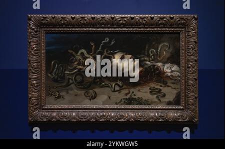 Una foto della testa di Medusa, di Peter Paul Rubens e Frans Snyders (1617-1618) in mostra al Rijksmuseum, come parte del Creepy crawlies exhi Foto Stock