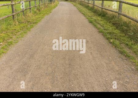 Strada sterrata che conduce attraverso campi verdi e recinzioni in legno in una giornata di sole Foto Stock