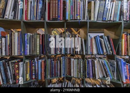 Immagine ravvicinata di una libreria all'interno di una libreria Foto Stock