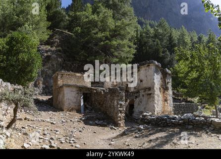 Una foto dell'insediamento, parte dell'escursione alla gola di Samaria Foto Stock