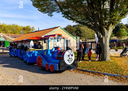 Viaggio in treno Thomas presso l'Hainault Forest Visitor Centre, Hainault Forest Country Park, Hainault, Londra, Inghilterra Foto Stock