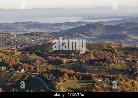 Atmosfera mattutina, luce mattutina sui vigneti in un paesaggio collinare, nebbia mattutina nella valle, vista dalla piattaforma panoramica Demmerkogel Foto Stock