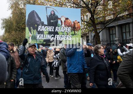 Westminster, Londra, Regno Unito. 19 novembre 2024. Gli agricoltori britannici si riuniscono nel centro di Londra per protestare contro i cambiamenti di bilancio del governo laburista britannico sulla tassa di successione per gli agricoltori. Coloro che protestano dicono che la tassa avrà un impatto devastante sulla comunità agricola. Credito: Lactualité Paris 24 ore/Alamy Live News Foto Stock