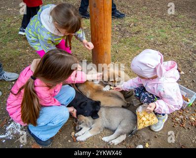 Kislovodsk, Russia - 3 dicembre 2023: I bambini danno da mangiare ai cuccioli senzatetto per strada Foto Stock