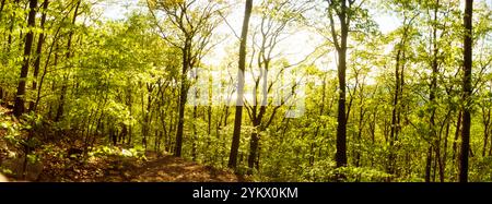 Percorri i boschi di Beacon, Hudson Valley, New York State, Stati Uniti Foto Stock