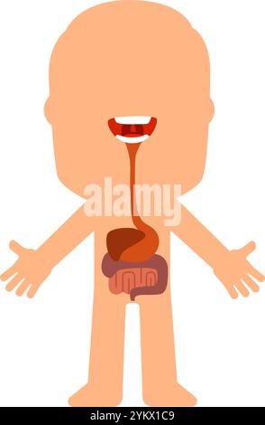 Illustrazione educativa del sistema digerente umano con organi interni evidenziati, che mostra esofago, stomaco, intestino tenue e crasso in semplice Illustrazione Vettoriale