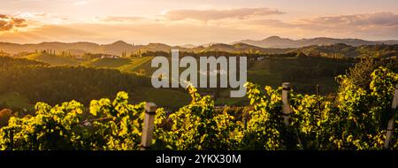 Panorama dei vigneti lungo la strada del vino della Stiria meridionale in estate, Austria Europa Foto Stock