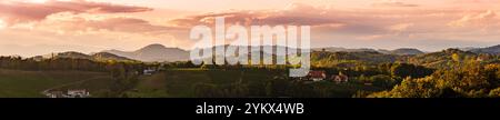 Panorama dei vigneti lungo la strada del vino della Stiria meridionale in estate, Austria Europa Foto Stock