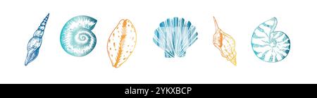 Shell vettoriale. Conchiglia a linea dipinta a mano. Clip art grafica isolata sullo sfondo. Illustrazione sott'acqua. Per designer, inviti Illustrazione Vettoriale