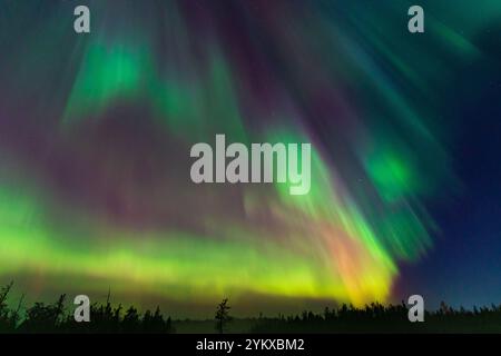 Aurora boreale colorata, aurora boreale, a Yellowknife, territori del Nord-Ovest, Canada Foto Stock