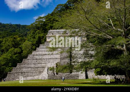 Tempio delle iscrizioni a Palenque, Chiapas, Messico. Questa iconica piramide Maya è circondata da una lussureggiante giungla tropicale. Foto Stock