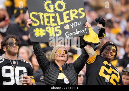 Pittsburgh, Pennsylvania, Stati Uniti. 17 novembre 2024. 17 novembre 2024: Tifosi durante la partita tra Pittsburgh Steelers e Baltimore Ravens all'Acrisure Stadium di Pittsburgh, Pennsylvania. Brook Ward/Apparent Media Group (Credit Image: © AMG/AMG via ZUMA Press Wire) SOLO PER USO EDITORIALE! Non per USO commerciale! Foto Stock