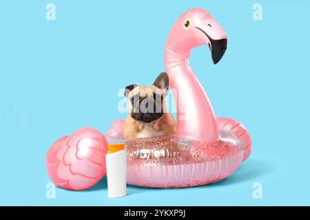 Grazioso bulldog francese con crema solare e anello gonfiabile a forma di fenicottero su sfondo blu Foto Stock