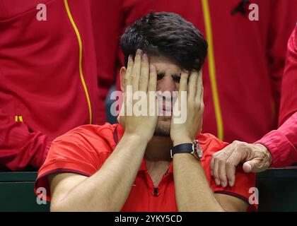 Malaga, Regno Unito. 20 novembre 2024. Carlos Alcaraz e Roberto Bautista React vengono eliminati dalla squadra olandese durante la finale di Coppa Davis 2024, al Palacio de Deportes Jose Maria Martin Carpena Arena di Malaga. Crediti: Isabel Infantes/Alamy Live News Foto Stock