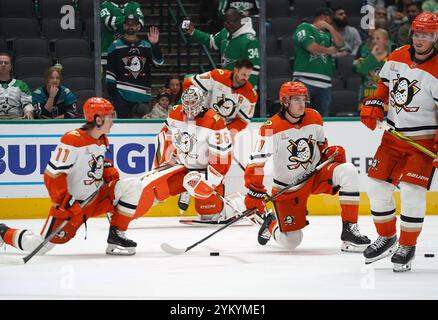 Dallas, Stati Uniti. 18 novembre 2024. Giocatori degli Anaheim Ducks sul ghiaccio contro i Dallas Stars durante la partita di stagione regolare della NHL all'American Airlines Center. Punteggio finale Dallas Stars 2- 4 Anaheim Ducks. Il 18 novembre 2024 a Dallas, Texas. (Foto di Javier Vicencio/Eyepix Group) credito: Eyepix Group/Alamy Live News Foto Stock