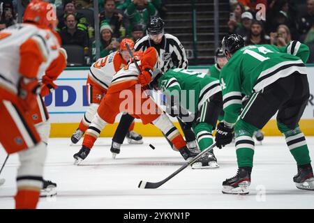 Dallas, Texas, Stati Uniti. 18 novembre 2024. Wyatt Johnston n. 53 dei Dallas Stars combatte per il puck contro gli Anaheim Ducks durante la partita di stagione regolare della NHL all'American Airlines Center. Punteggio finale Dallas Stars 2- 4 Anaheim Ducks. Il 18 novembre 2024 a Dallas, Texas. (Credit Image: © Javier Vicencio/eyepix via ZUMA Press Wire) SOLO PER USO EDITORIALE! Non per USO commerciale! Foto Stock