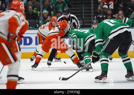 Dallas, Stati Uniti. 18 novembre 2024. Wyatt Johnston n. 53 dei Dallas Stars combatte per il puck contro gli Anaheim Ducks durante la partita di stagione regolare della NHL all'American Airlines Center. Punteggio finale Dallas Stars 2- 4 Anaheim Ducks. Il 18 novembre 2024 a Dallas, Texas. (Foto di Javier Vicencio/Eyepix Group/Sipa USA) credito: SIPA USA/Alamy Live News Foto Stock