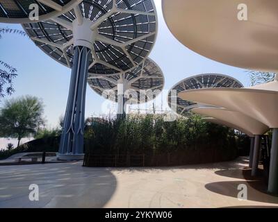 Grandi pannelli solari nella foresta pluviale. Energia solare alternativa. Elettrificazione di dubai. batteria fotovoltaica nella foresta Foto Stock
