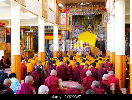 Incontro di preghiera condotto nella sala di preghiera principale del Monastero di Namgyal in esilio, il monastero personale del XIV Dalai Lama. Ubicazione: Dharmas Foto Stock