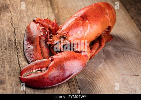 Aragosta bollita rossa su fondo di legno Foto Stock