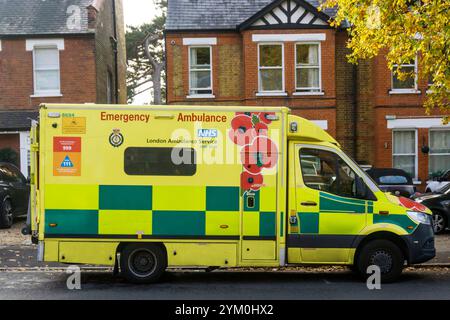 Un'ambulanza di emergenza del London Ambulance Service NHS Trust con disegno papavero per Remembrance Day parcheggiata nel sud di Londra. Foto Stock