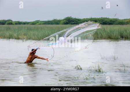 Pescatore con rete a gettare una rete tradizionale nel Gujarat, India Foto Stock