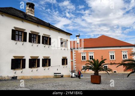 Rust, Austria - 23 marzo 2024: La piazza acciottolata del municipio della cosiddetta città delle cicogne sul lago Neusiedl con le sue pittoresche case, lei mondiale dell'UNESCO Foto Stock