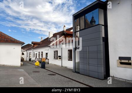 Rust, Austria - 23 marzo 2024: Una fila tradizionale di case combinate con l'architettura moderna con vari negozi di souvenir nelle strette strade della U Foto Stock