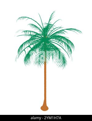 Profilo di Palm Tree estremamente dettagliato isolato su sfondo bianco. Illustrazione vettoriale Illustrazione Vettoriale