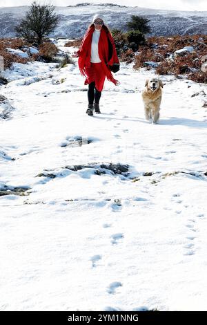 Belstone, Devon, Regno Unito. 20 novembre 2024. Neve su Dartmoor a Belstone, Devon. Nella foto Raich Keene e Raphael il retriever si divertono sulla neve Credit: Nidpor/Alamy Live News Foto Stock