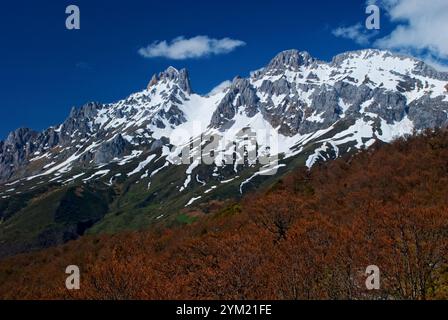 Torre del Friero, Torre de Liordes e Torre de Salinas. Valdeon Valley. Parco nazionale Picos de Europa. Provincia di Leon. Castilla y Leon. Spagna Foto Stock